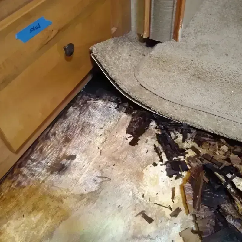 Wood Floor Water Damage in City of Baltimore, MD